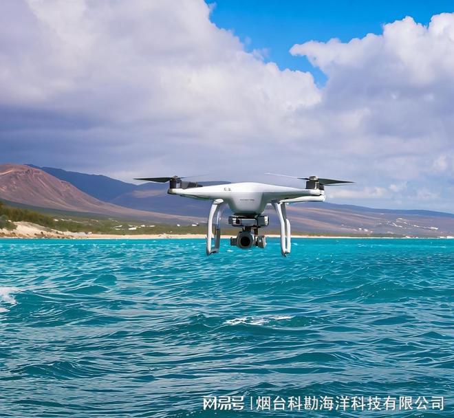 无人机近海低空气象海浪灾害预警平台：守护低空与海洋安全(图1)