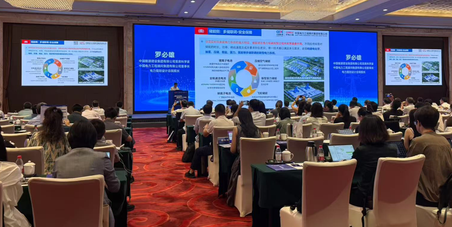 规划引领新能源高质量发展2025电力低碳转型年会举行