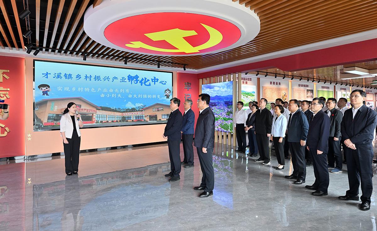 全省学习运用“千万工程”经验加快城乡融合发展推进乡村全面振兴现场会在上杭举行(图3)