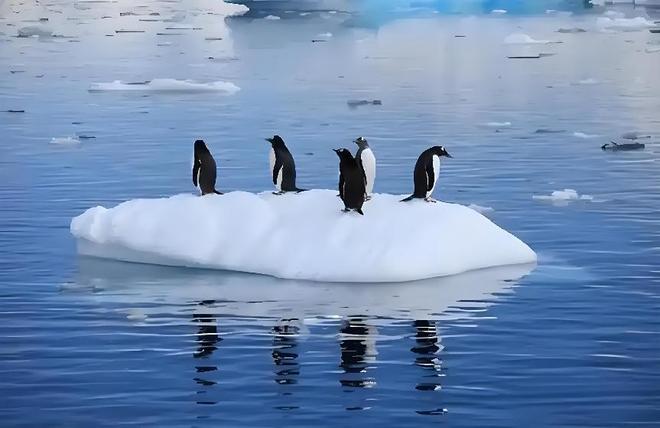 暴雨频发极端高温破纪录天气怎么了？为什么让预报如此无力？(图6)