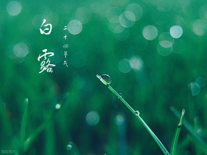 今年是中元逢白露农事加速跑看农谚是咋说的有科学道理吗？(图1)