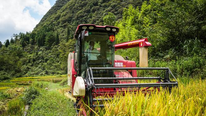 从“被动治”到“主动防”——全球变暖中国农业如何应“烤”(图2)