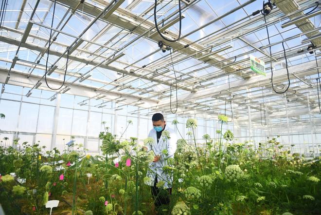 从“被动治”到“主动防”——全球变暖中国农业如何应“烤”(图1)