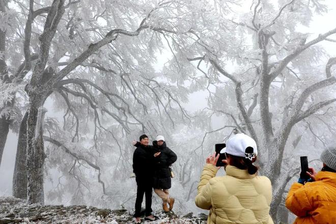 强降温极端低温！暴雨洪涝！高温热浪！2026年柳州气候预测：一般到偏差年景(图3)