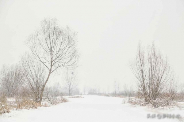 今天是三九的第一天(图3)