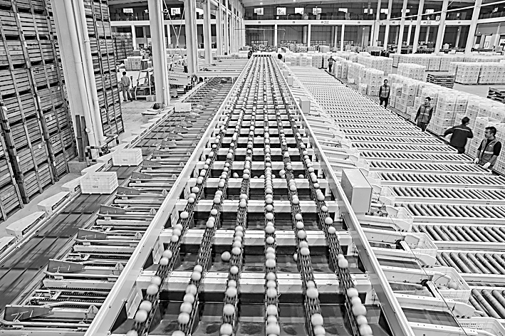 新场景激发经济新活力(图1)