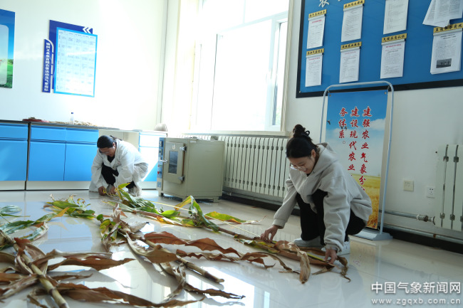 “十四五”发展成效丨吉林：深耕气象智慧服务厚植民生沃土(图2)