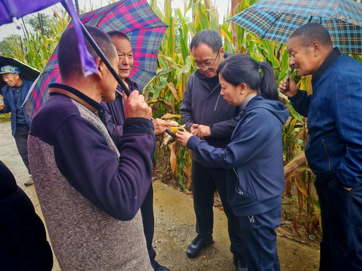 蒲县气象局：靶向发力“三定”预报 打通服务群众“最后一公里”(图1)