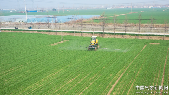 在希望的田野上丨河南周口：气象服务“精耕细作”筑牢粮食安全“压舱石”(图4)
