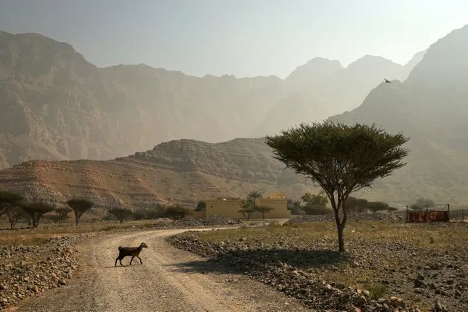 联合国预警：2025年地球储热破纪录气候危机恐延续千年(图1)