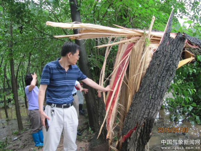 科学家精神宣讲丨科技探风云初心守冷暖——走近气象科学家的风雨人生(图4)