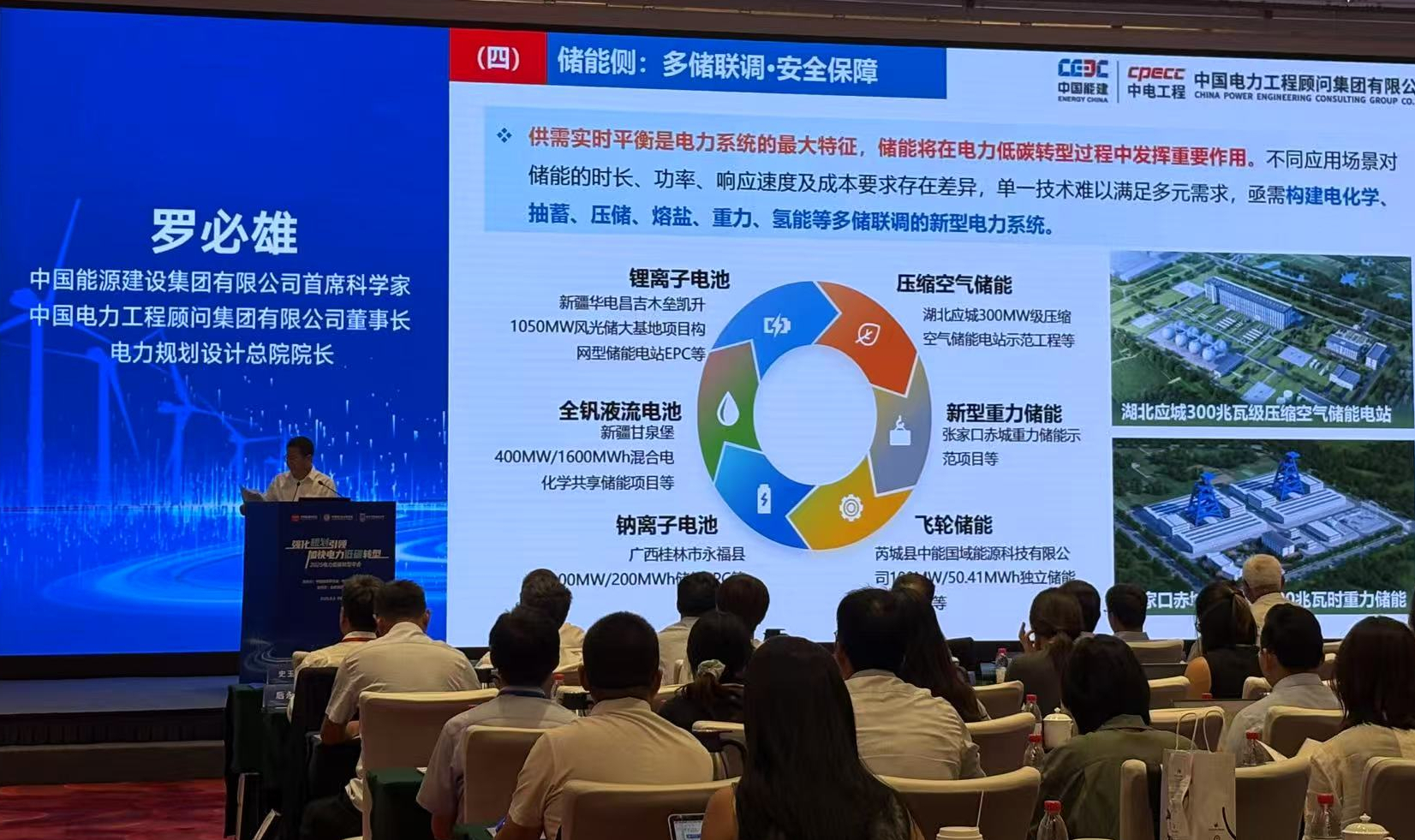 规划引领新能源高质量发展2025电力低碳转型年会举行(图2)