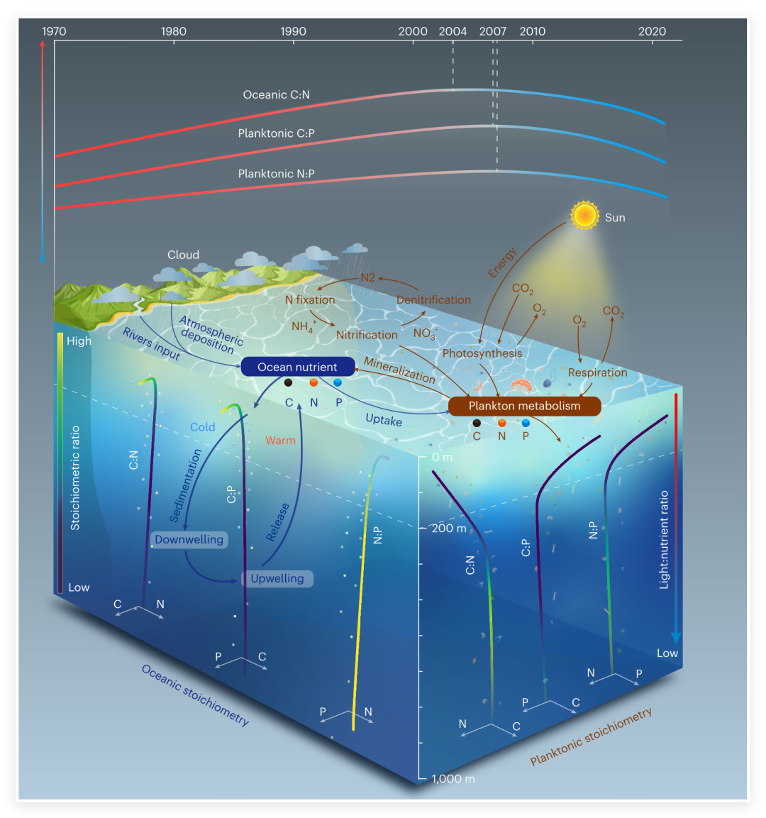 研究揭示全球海洋生态计量比发生系统性变化(图1)