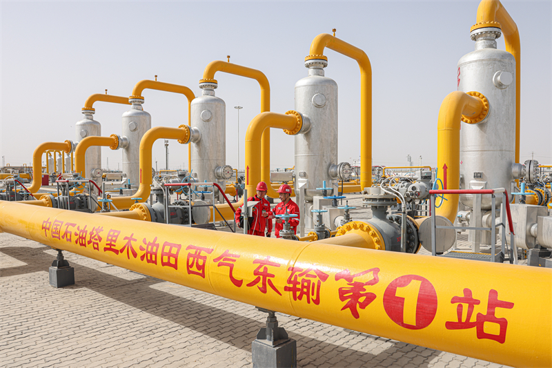 焕“新”之路丨新疆培育壮大特色优势产业(图6)