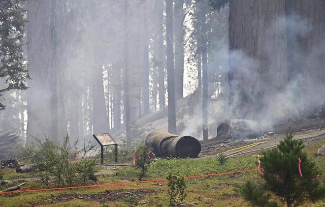 气候资讯｜9月全球前沿气候科学研究极端天气事件(图17)