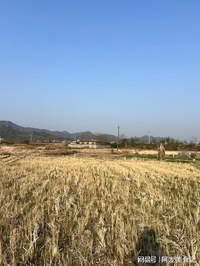 “来年旱不旱就看八月十七”今日八月十七寒露明年雨水多吗(图2)
