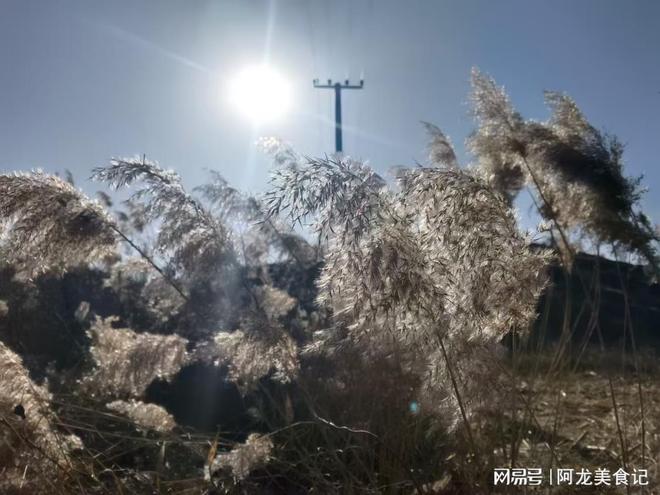 “冷不冷就看八月二十三”今日八月廿三2025年冬到底冷不冷(图3)