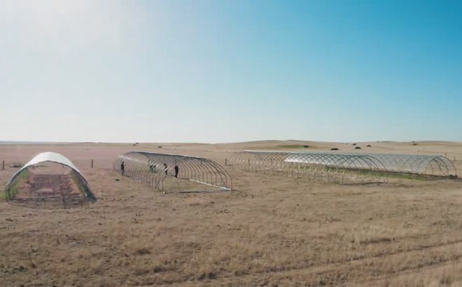 重大突破！北京林业大学发Science正刊！(图7)