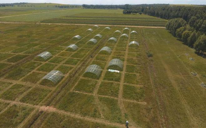 重大突破！北京林业大学发Science正刊！(图6)