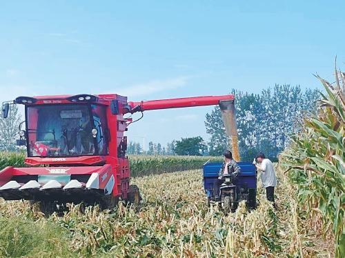 极端天气频发农业生产如何应对？——对话郑大玮、胡飞、郑久坤、梁风建