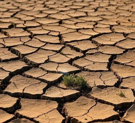 气象专家警告：厄尔尼诺现象越来越危险留给我们的时间不多了(图2)