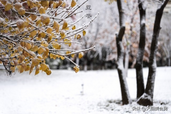 “立冬不过午十月穿棉袄”明日几点立冬？有何预兆？早知道(图3)