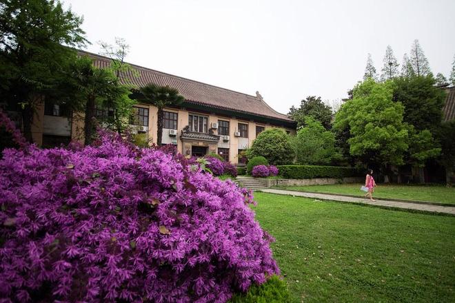 南师大15年学科布局终落子：微生物学冲进ESI全球前1%(图20)