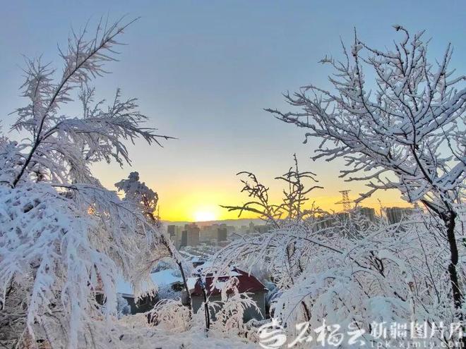 今冬新疆冷不冷？最新气候预测来了→(图2)