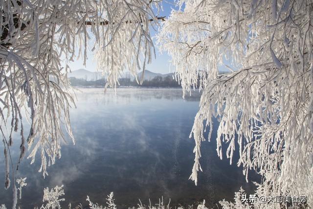 “今冬冷不冷看十月二十”今日十月二十今年冬天特别寒冷吗