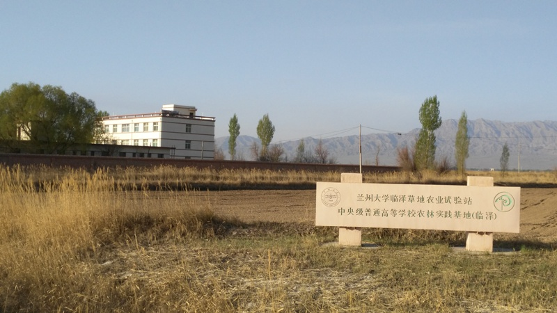 “网上没赢过现实没输过”最低调的985出圈了(图8)